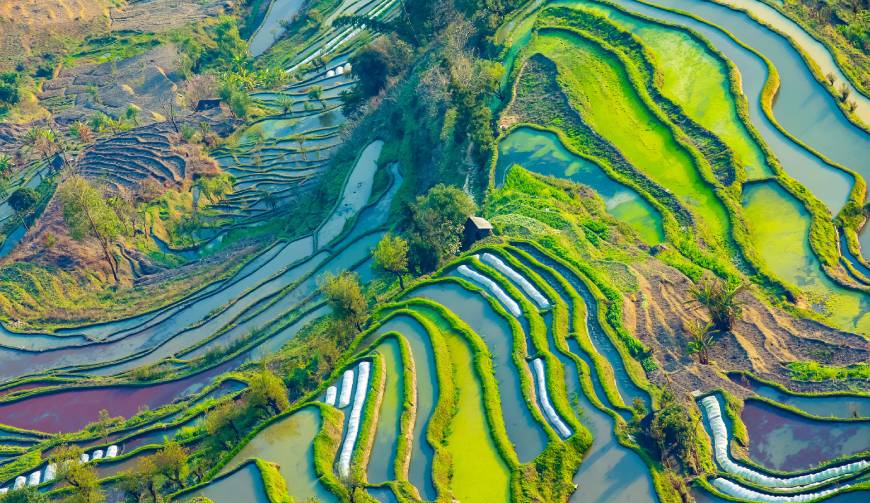 宝妈必备神器：正蓝旗产品视频拍摄轻松育儿好帮手