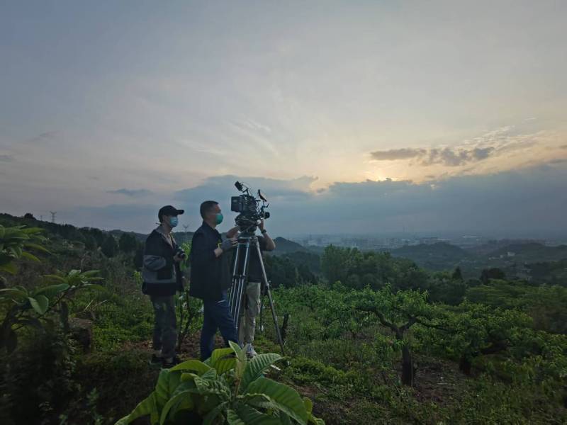 创意破圈！正蓝旗电商产品宣传视频用故事化叙事引爆流量