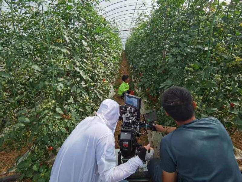 正蓝旗产品宣传视频拍摄公司进阶指南，助力品牌抢占传播高地